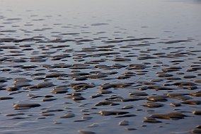 Plaża nad Bałtykiem Jedynie woda jest w stanie odmienić pustynię. Woda to życie. Miłość jest tą wodą. [Phil Bosmans] Abstrakcje