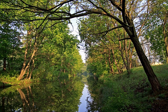 Kanał Bydgoski  środek lata : kanał bydgoski, lato, park, bydgoszcz