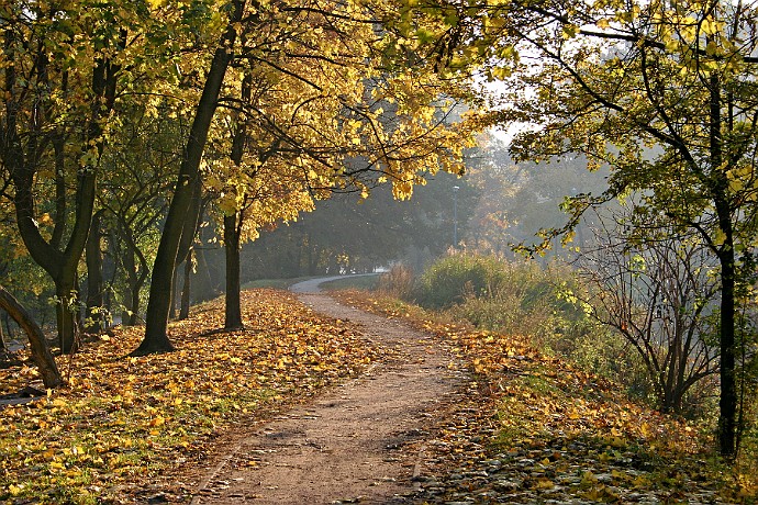 Jesień  park nad Kanałem Bydgoskim : park, kanał bydgoski, jesień, bydgoszcz, janusz michalski