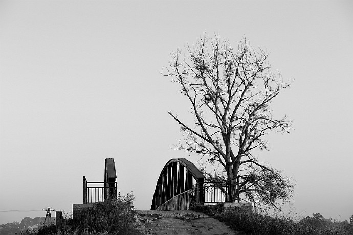 Most nad Kanałem Bydgoskim : most, kanał Bydgoski, janusz michalski