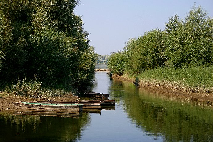 rzeka Wisła  w okolicy Solca Kujawskiego : wisła, łódki