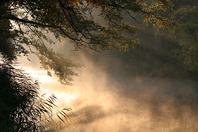Mglisty poranek  nad Kanałem Bydgoskim : kanał bydgoski, mgła