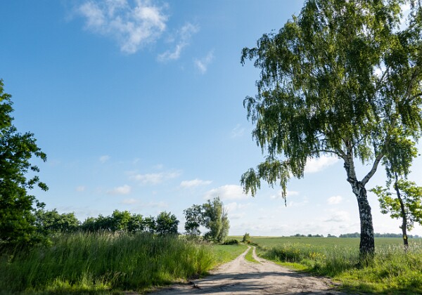 Wycieczka rowerowa do Nakła przez Suchary 31.05.2025 r. 🚴 Trasa 88 km: Bydgoszcz - Gorzeń - Ślesin - Suchary - Nakło - Łochowo - Puszcza Bydgoska leśnictwo Białe Błota -...