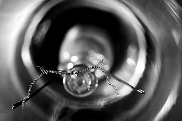 włókno makrofotografia