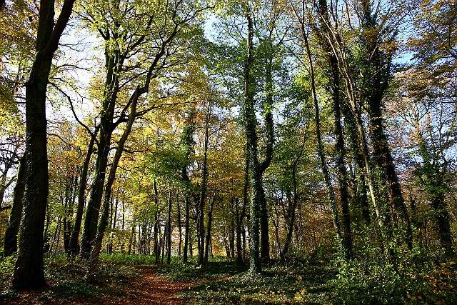 Park Nadmorski Kołobrzeg - 8 listopada 2016 r.