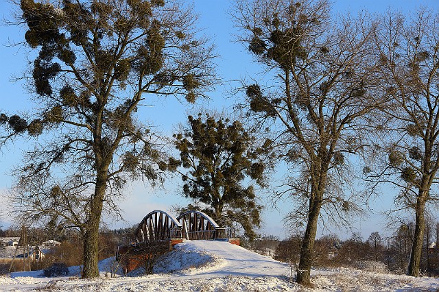 Most nad Kanałem Bydgoskim zima 2015 r.