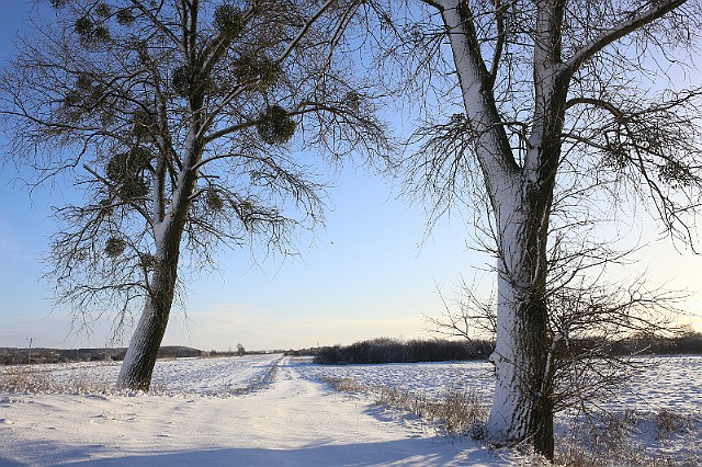 ... Zima nad Kanałem Bydgoskim