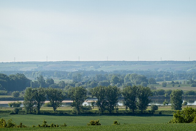 Dolina Wisły Grabówko