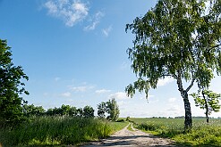 Suchary krajobraz