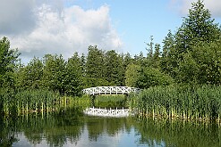 Park przy pałacu Suchary