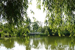 Suchary park przy pałacu