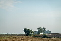 Salno