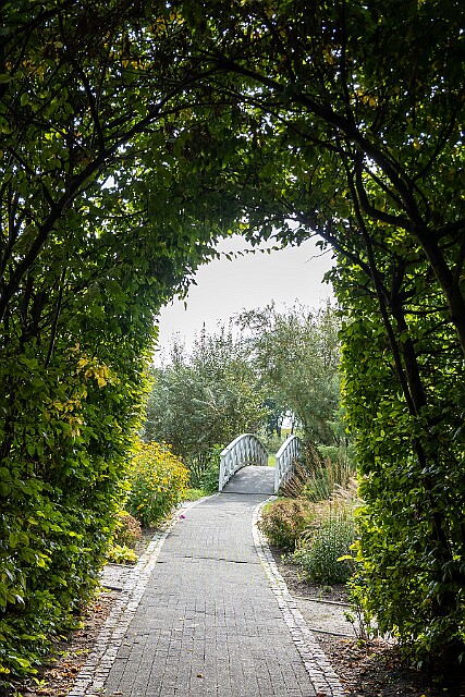 Park przy pałacu w Sucharach