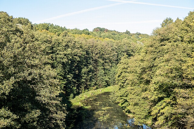 Koronowo rzeka Brda