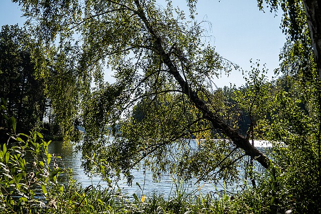 Romanowo zatoka Zalewu Koronowskiego