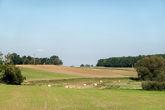 Bierzgłowo