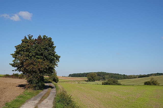 Bierzgłowo