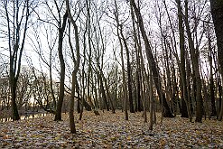 Park nad Kanałem Bydgoskim